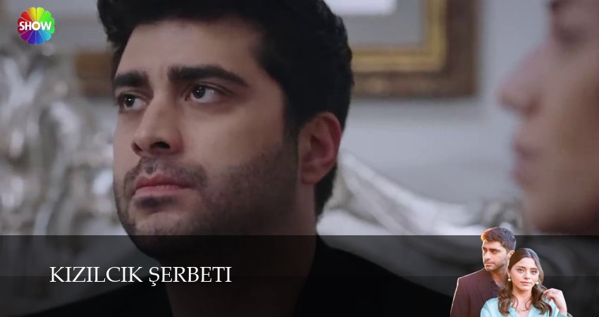 Превью Клюквенный щербет