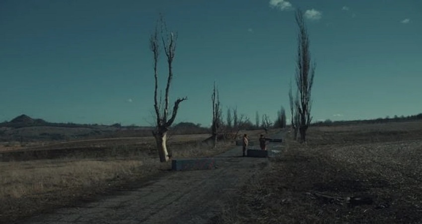 Превью Сiрi бджоли